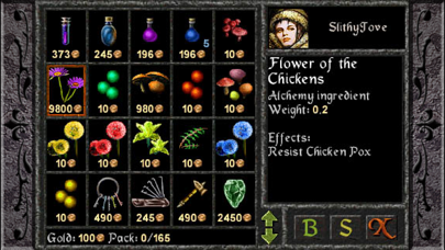 The Quest screenshot 5