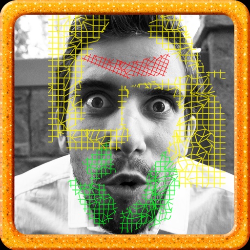 Biometric Face Analyzer Icon