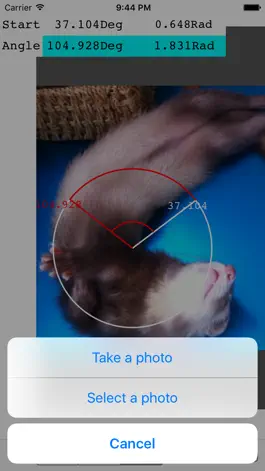 Game screenshot Photo Protractor mod apk