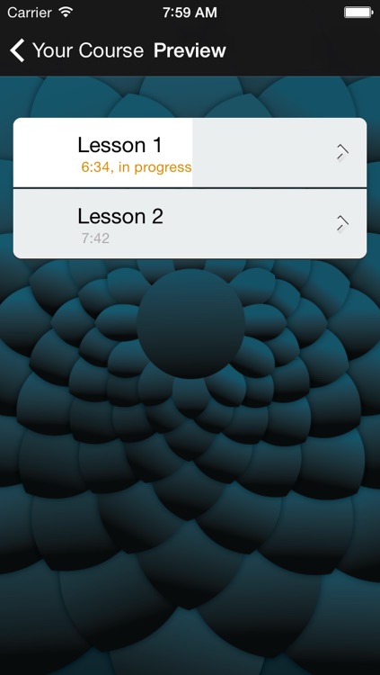 Learn a Language with Michel Thomas screenshot-3