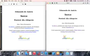 mobi to epub iphone images 2