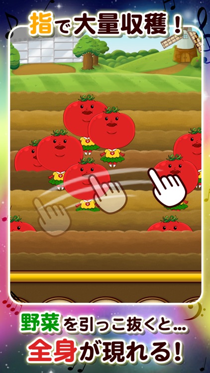 野菜音楽ライブ