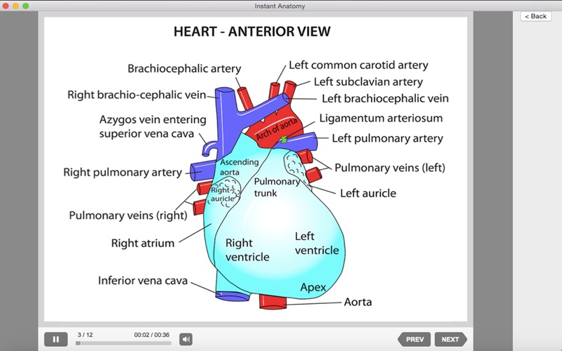 Instant Anatomy Screenshot