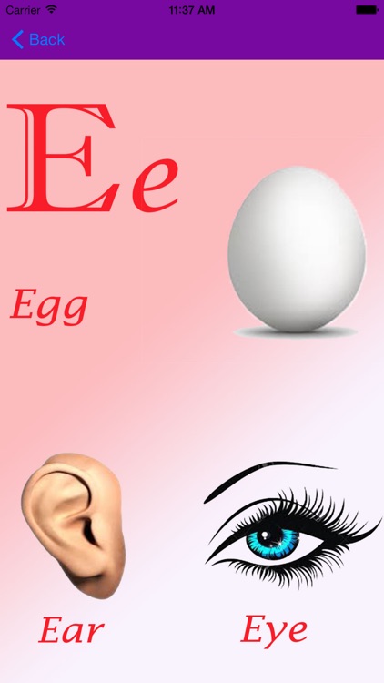 ABCD Fun screenshot-4