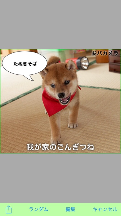 おバカメラ - お馬鹿な写真が簡単に作れるカメラアプリ