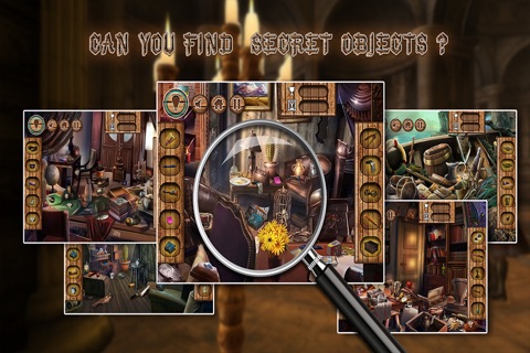 Mystery of the Hidden Temple screenshot 3