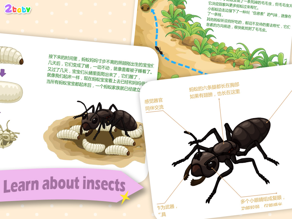 Ant - InsectWorld  A story book about insects for children screenshot 10