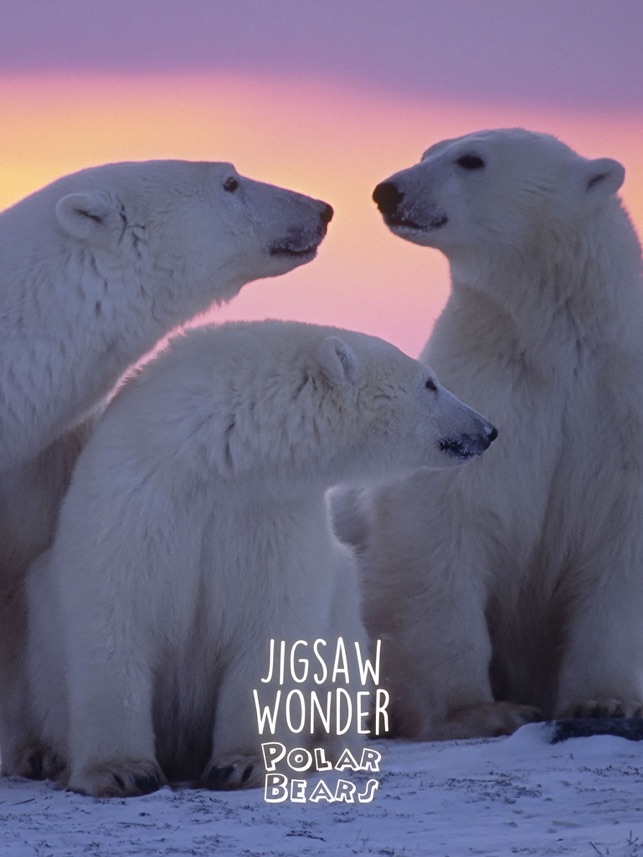 Gấu bắc cực đang chờ đón bạn trong bức tranh này. Với bầu trời tuyết phủ và những đường viền màu trắng giúp bức tranh trở nên sống động và chân thật.