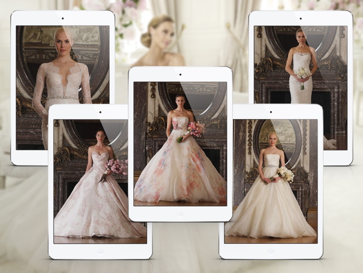 Wedding Dress & Bridal Gown Ideas for iPad screenshot-3