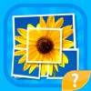 Mosaic - trivia image quiz and word puzzle game to guess words by small parts of images - iPhoneアプリ
