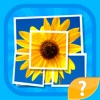 Mosaïque - l'image trivia quiz jeu de puzzle mot à deviner les mots en petites parties d'images