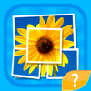 Mosaico - trivia imagen quiz y juego de rompecabezas de la palabra a adivinar palabras por pequeñas partes de las imágenes