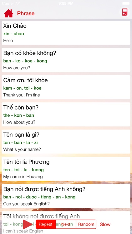 Learning Vietnamese