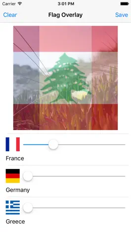 Game screenshot Flag Overlay mod apk