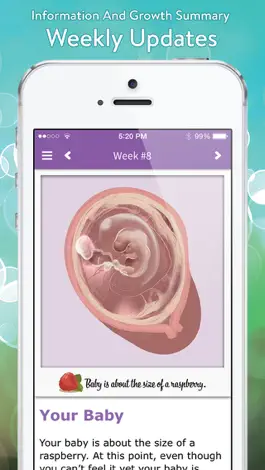 Game screenshot Pregnancy View apk