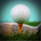 The Golfer App provides users with the ability to search for golf courses based on their GPS location PLUS: