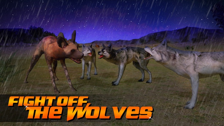 Wild Dog Simulator 3D screenshot-3