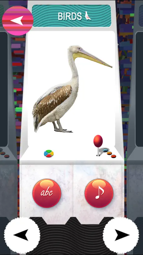 T.O.Y ( Teach Our YoungOnes ) - Free PreSchool Educational Learning Games For Toddlers And Kindergarten Kids With Birds and Animals sounds