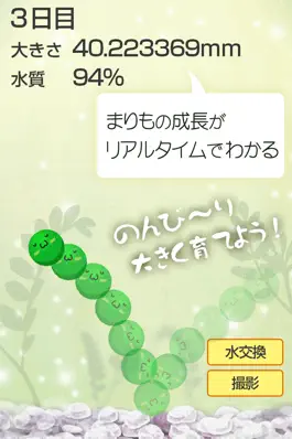 Game screenshot Marimo Game Free apk