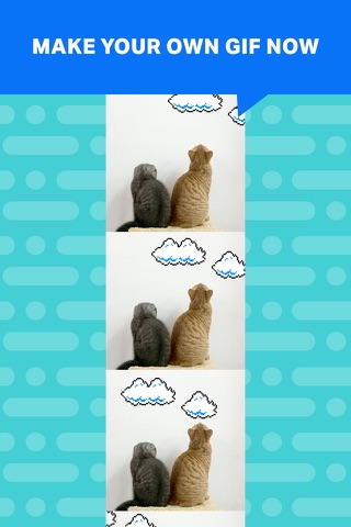 Gif.Cam - Capture and share your fun moment in GIF screenshot 4