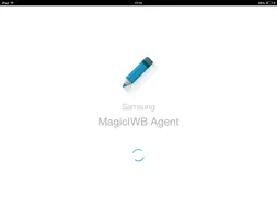 MagicIWB Agent screenshot 1