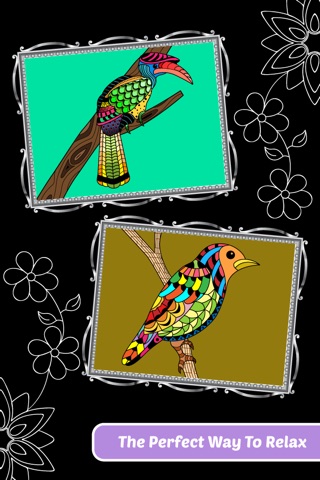 Love Birds Art Class: Adults Coloring Book screenshot 3