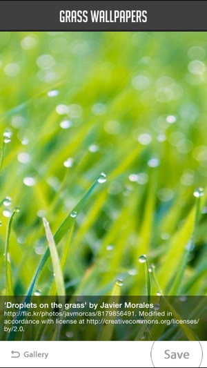 Grass Wallpapers(圖4)-速報App