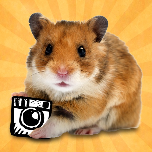 hamstergram - make people hamsters instantly and more! Icon