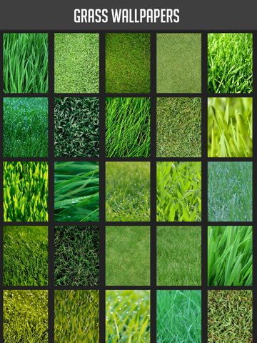 Screenshot #4 pour Grass Wallpapers