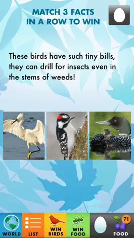 Game screenshot My Bird World Lite hack