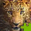 Big Cats Puzzle 4 Kids Endless Jigsaw-Adventure App Delete