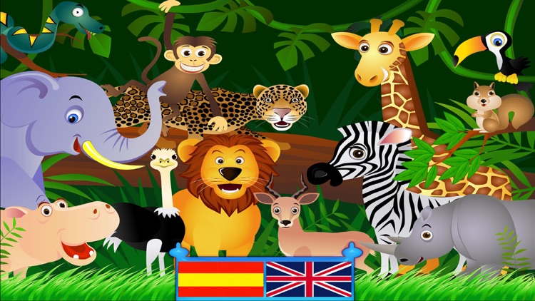 What animal is this?