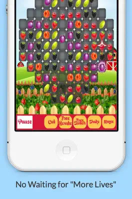 Game screenshot Mr Smash's Berry Blast apk