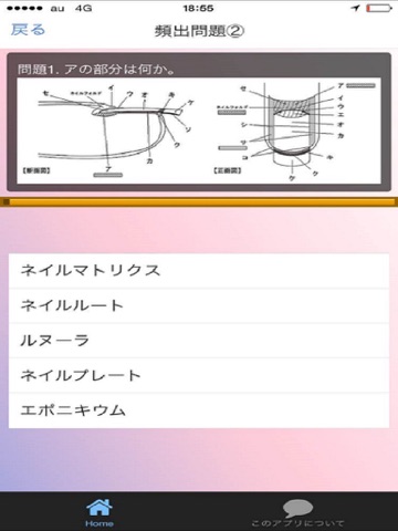 ネイリスト技能検定３級 過去問題集2016のおすすめ画像2