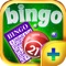 Bingo Arcade PLUS - Play the Simple and Easy to Win Casino Card Game for FREE !
