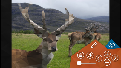 Screenshot #3 pour Polyd Free