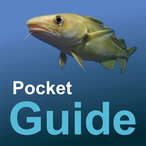 Pocket Guide UK Sea Fishing Plus