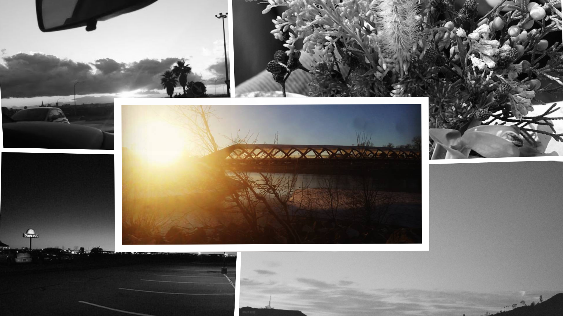 Tumblbee screenshot 4
