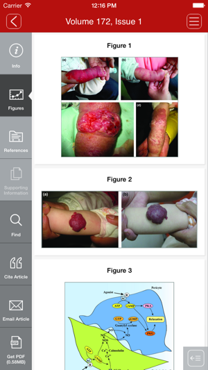 British Journal of Dermatology(圖4)-速報App