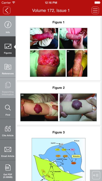 British Journal of Dermatology screenshot-3
