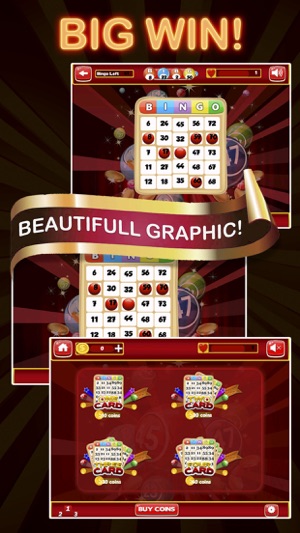 Double Win Bingo Pro - Bingo Best Game(圖2)-速報App