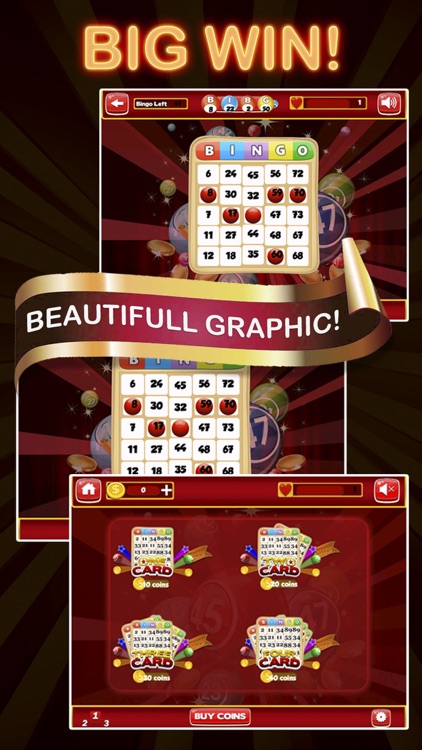 Double Win Bingo Pro - Bingo Best Game