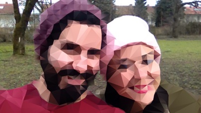 Screenshot #1 pour Polyd Free