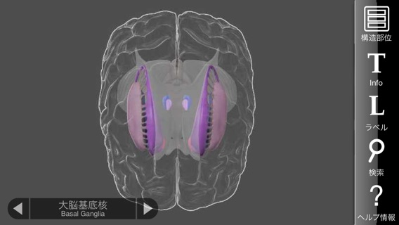 3D Brainのおすすめ画像2