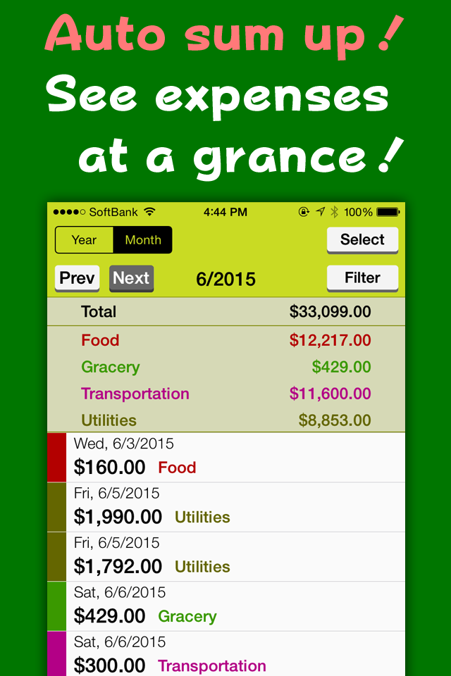RaCaibo - Easy and Simple Budget book