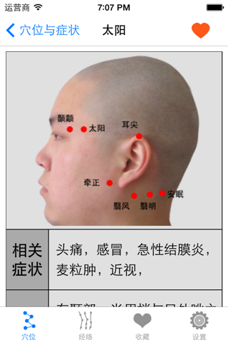 穴位图解推拿按摩大全HD 中医养生家庭自我保健经络肌肉放松辅助提高睡眠质量 screenshot 2