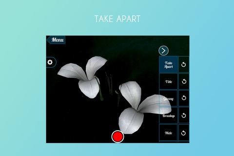 Lily 3D screenshot 3