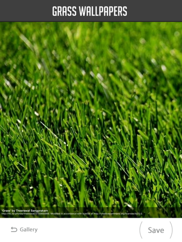 Screenshot #5 pour Grass Wallpapers