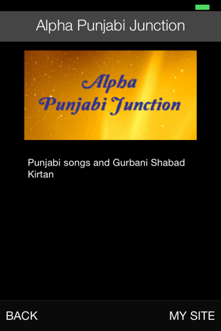 Alpha Punjabi Junction screenshot 2