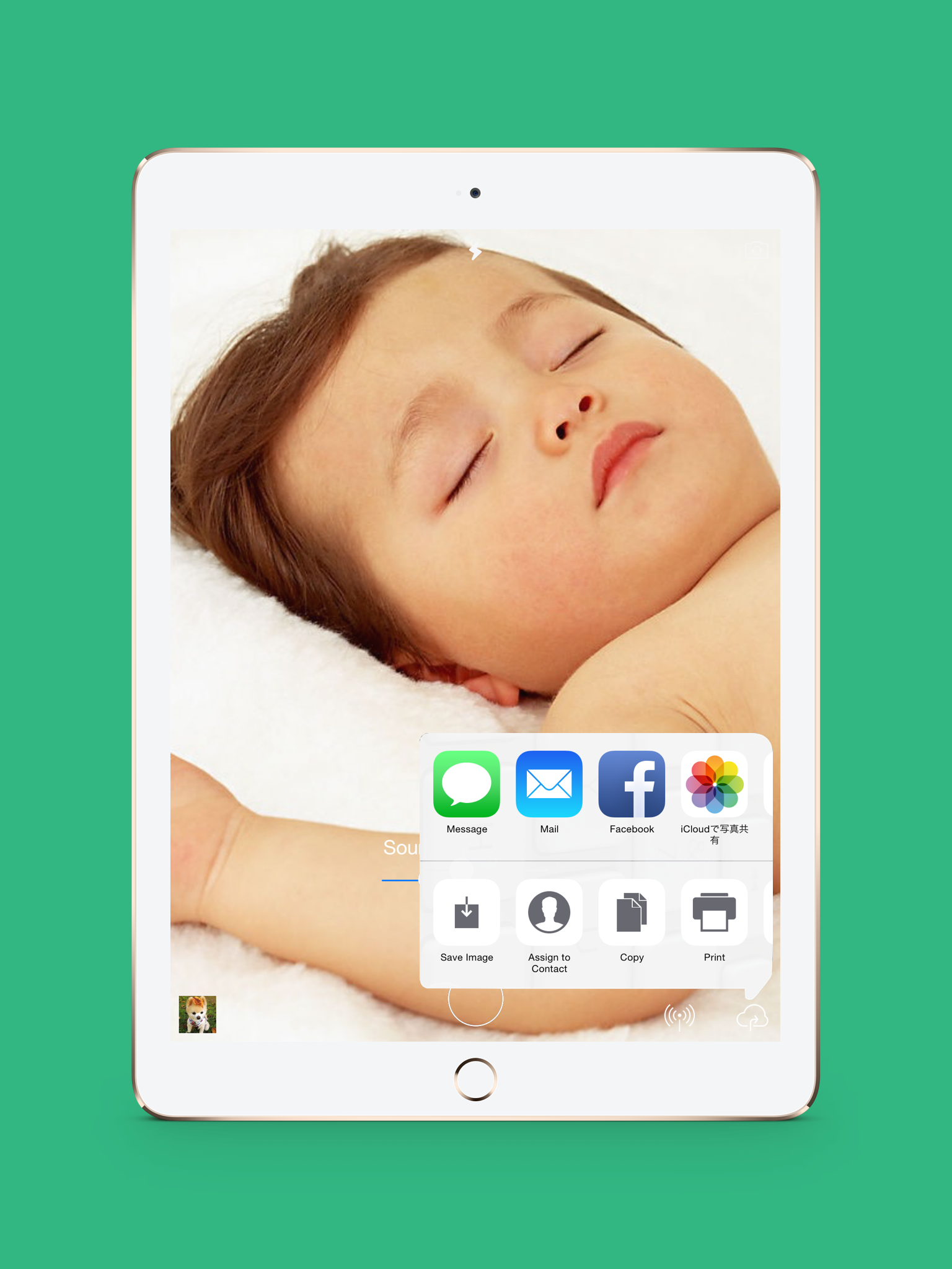 Stage Camera HD(StageCameraHD) - selfie recorder control by wifi webbrowser